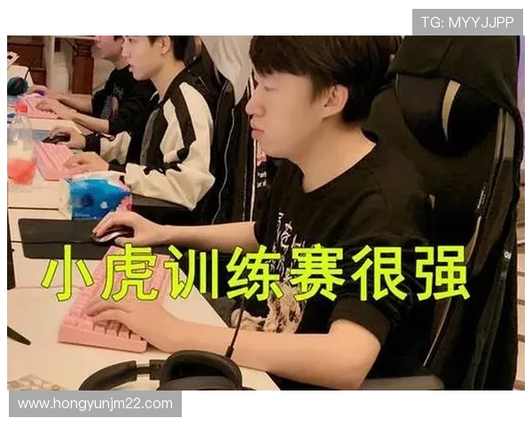 WE战队中路突破战术解析与应用策略探讨