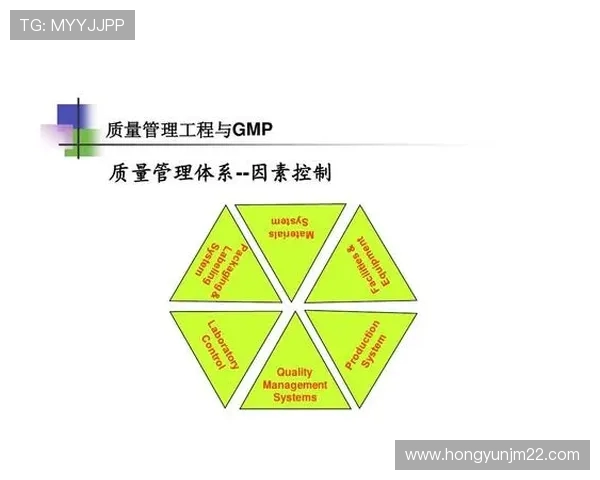 武汉滑板队的战术控制体系探索与实践分析